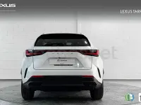 Usado Lexus NX450h+ 292 CV (214 kW) 2026 Blanco SUV
