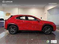 Usado Lexus UX 250h Business Edition 184 CV (135 kW) 2022 Rojo SUV