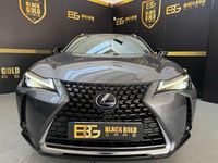 Usado Lexus UX Business Edition 184 CV (135 kW) 2021 Gris / plata SUV