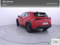 Usado Lexus UX Business Edition 184 CV (135 kW) 2022 Rojo SUV