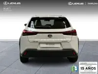 Usado Lexus UX 199 CV (146 kW) 2025 Blanco SUV
