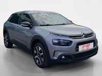 Usado Citroën C4 Cactus Shine 99 CV (72 kW) 2019 Utilitario