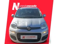 Usado Fiat Panda Lounge 69 CV (50 kW) 2019 Gris / plata Utilitario
