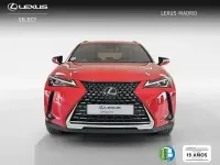 Usado Lexus UX Business Edition 184 CV (135 kW) 2022 Rojo SUV