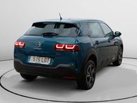 Usado Citroën C4 Cactus Feel 110 CV (80 kW) 2020 Utilitario