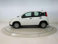 Usado Fiat Panda 71 CV (52 kW) 2024 Blanco Utilitario