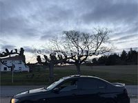 Usado BMW 318 115 CV (84 kW) 2006 Negro Berlina