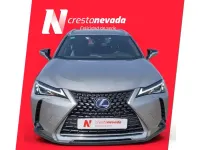 Usado Lexus UX Business Edition 184 CV (135 kW) 2022 Gris / plata SUV