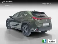 Usado Lexus UX Business Edition 184 CV (135 kW) 2022 Verde SUV