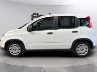 Usado Fiat Panda 70 CV (51 kW) 2024 Blanco Utilitario