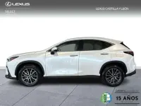 Usado Lexus NX350h 242 CV (177 kW) 2025 Blanco SUV