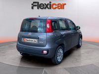 Usado Fiat Panda Cross Cross 71 CV (52 kW) 2022 Gris Utilitario
