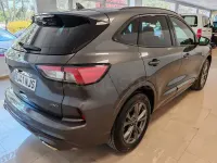 Usado Ford Kuga ST-Line 225 CV (165 kW) 2023 Verde SUV