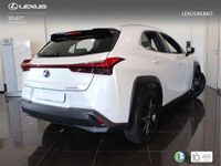 usado Lexus UX 250h Business 2WD