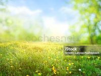 Usado Audi A3 Attraction 105 CV (77 kW) 2013 Negro Berlina