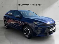 Usado Cupra Terramar 150 CV (110 kW) 2025 Azul SUV