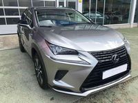 Usado Lexus NX300h Business Edition 197 CV (144 kW) 2021 Gris SUV