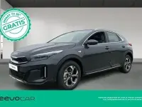 Nuevo Kia XCeed 115 CV (84 kW) 2026 Gris SUV
