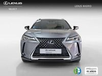 Usado Lexus UX 250h Business Edition 185 CV (136 kW) 2021 Gris SUV