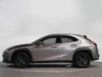 Usado Lexus UX 250h Business Edition 184 CV (135 kW) 2021 SUV