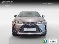 Usado Lexus UX 250h Business Edition 184 CV (135 kW) 2021 Gris SUV