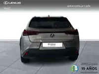 Usado Lexus UX 300h 199 CV (146 kW) 2026 Gris SUV