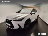 Usado Lexus NX350h Executive Line 244 CV (179 kW) 2022 Blanco SUV