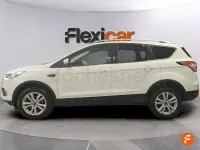 Usado Ford Kuga Trend 150 CV (110 kW) 2019 Blanco SUV