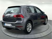 usado VW Golf VII 1.6tdi Edition 85kw