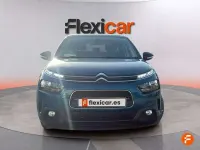 Usado Citroën C4 Cactus Feel 110 CV (80 kW) 2019 Verde Utilitario