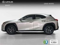 Usado Lexus UX 250h Business Edition 185 CV (136 kW) 2022 Plateado SUV