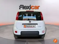 Usado Fiat Panda 71 CV (52 kW) 2024 Blanco Utilitario