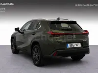 Usado Lexus UX 199 CV (146 kW) 2025 Verde SUV