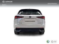Usado Lexus NX300h Business Edition 197 CV (144 kW) 2019 Blanco SUV
