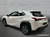 Usado Lexus UX 150 kW (204 CV) 2022 Blanco SUV