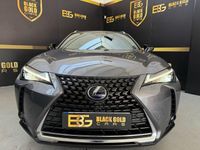 Usado Lexus UX Business Edition 184 CV (135 kW) 2021 Gris / plata SUV