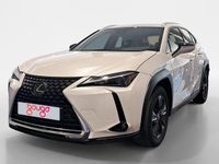 Usado Lexus UX Business Edition 184 CV (135 kW) 2023 Blanco SUV