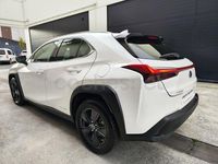 Usado Lexus UX Business Edition 184 CV (135 kW) 2021 Blanco SUV