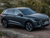 Usado Audi Q5 Advanced 163 CV (119 kW) 2021 Gris SUV