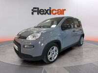 Usado Fiat Panda 71 CV (52 kW) 2023 Gris Utilitario