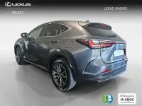 Usado Lexus NX350h Executive Line 242 CV (177 kW) 2022 Gris SUV