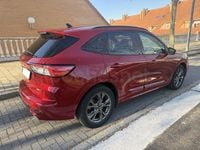 Usado Ford Kuga ST-Line 150 CV (110 kW) 2021 Granate SUV
