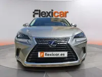 Usado Lexus NX300h Business Edition 197 CV (144 kW) 2020 Gris SUV