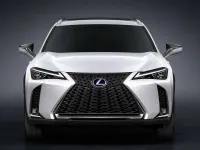Usado Lexus UX 250h Executive Line 184 CV (135 kW) 2019 SUV