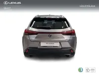 Usado Lexus UX 250h 184 CV (135 kW) 2022 Gris SUV