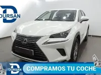 Usado Lexus NX300h Business Edition 197 CV (144 kW) 2019 Blanco SUV