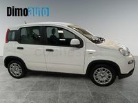 Usado Fiat Panda Icon 70 CV (51 kW) 2025 Blanco Utilitario