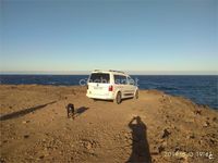 Usado VW Caddy Trendline 102 CV (75 kW) 2016 Blanco Monovolumen