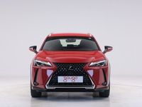 usado Lexus UX 250h BUSINESS AUTO 2.0 184 5P