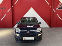 Usado Fiat Panda Pop 69 HP (50 kW) 2015 Azul Citadino